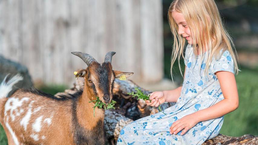 Ferienwohnung für 2 Personen, mit Garten in Immenstadt - 3