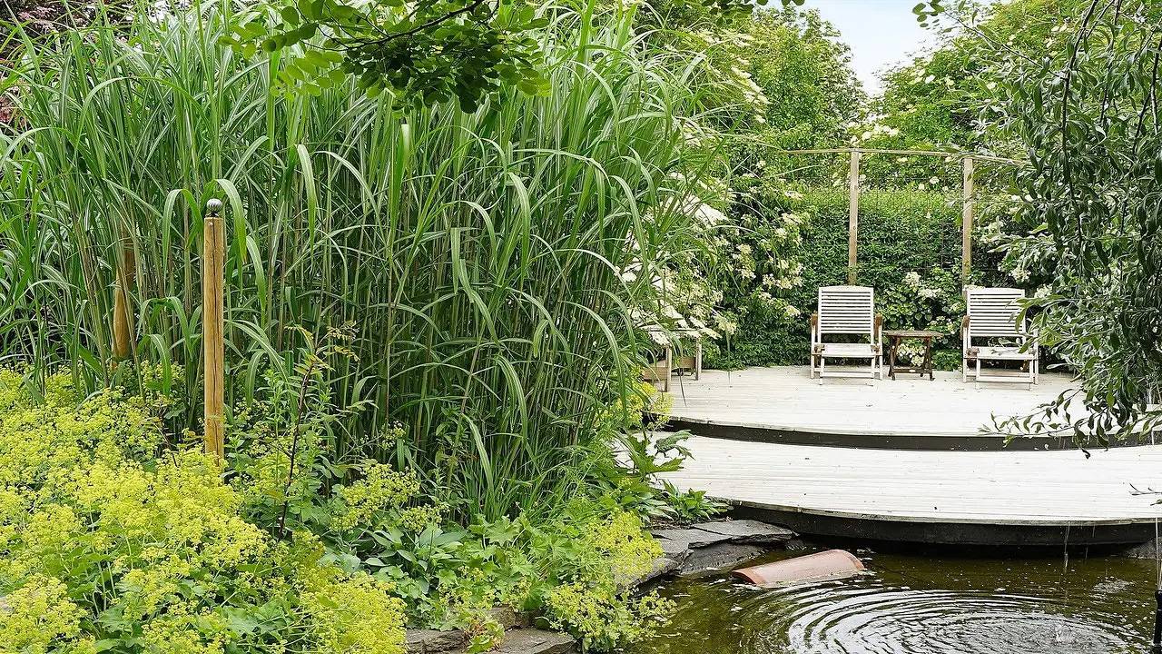 Ferienhaus für 4 Personen (45 m²) in Tvååker in Varberg, Halland