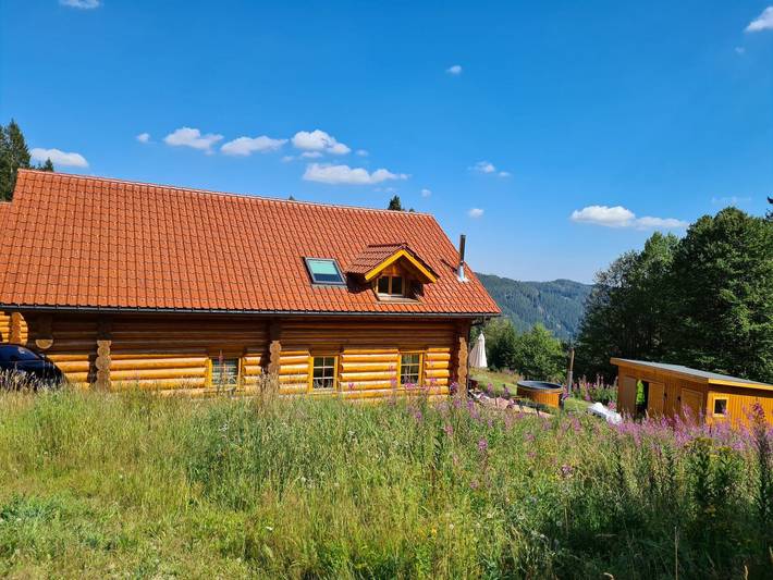 Ferienhaus für 14 Personen, mit Garten und Terrasse sowie Sauna in Suedlicher Schwarzwald - 3