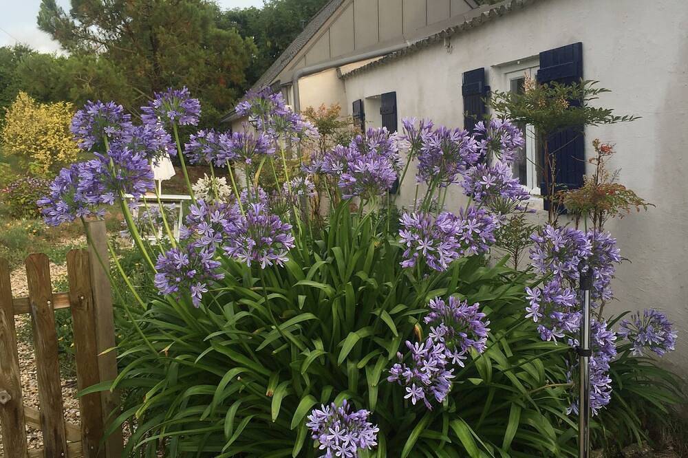 Close to beaches (300 m) in Plozévet, Côte de Cornouaille