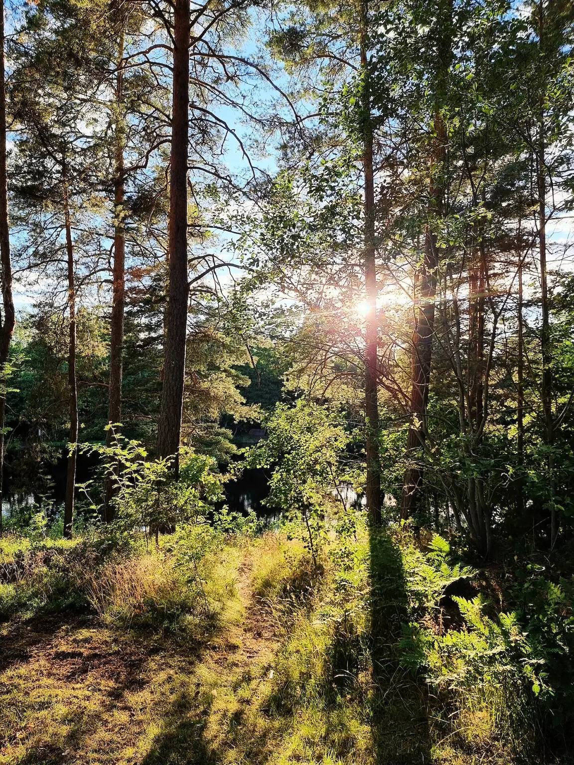 Villa voor 5 personen in Vimmerby region