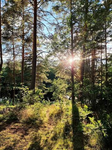 Villa for 5 People in Kalmar län, South Sweden, Photo 4