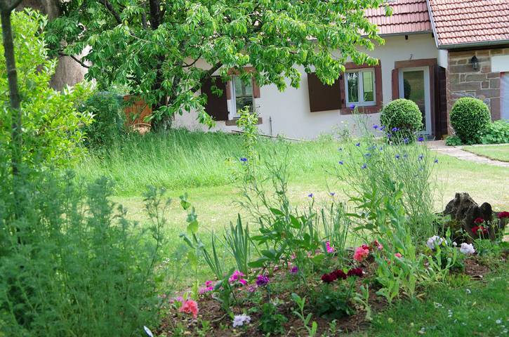 Gîte pour 6 personnes, avec terrasse et jardin dans Parc naturel régional des Vosges du Nord - 4