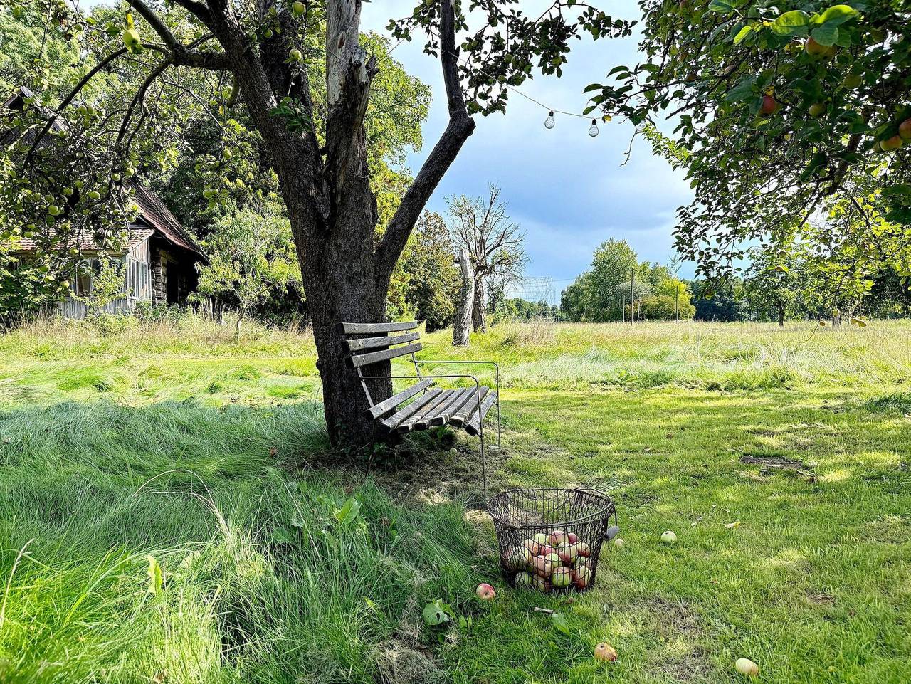 Ganze Ferienwohnung, Nature Sonnentau - Nature Sonnentau in Burg (Spreewald), Lausitz