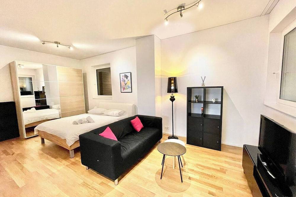Entire apartment, Modern Cozy Studio in the City (Sh-0.4L) in Zurich, Zurich district