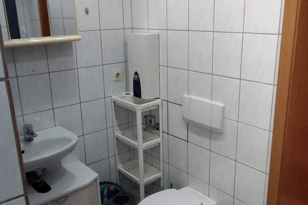 Ganze Wohnung, Einzimmerwohnung mit separatem Eingang in Droyßig, Saale-Unstrut