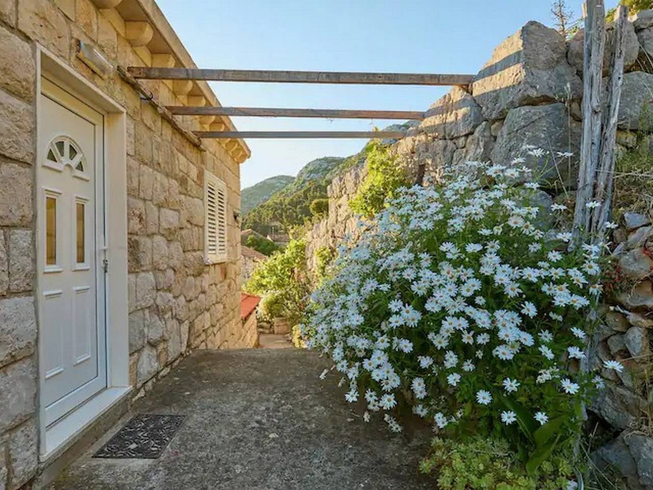 Ganze Wohnung, 1-Zimmer-Ferienwohnung mit Terrasse und Meerblick Maranovici, Mljet A-22339-b in Mljet