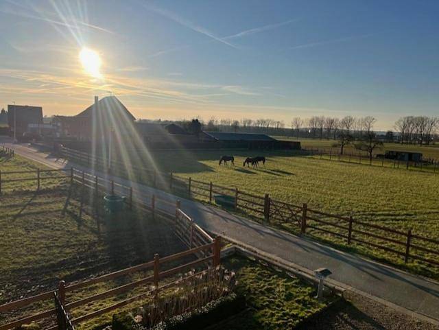 Chambre d’hôte pour 2 personnes, avec vue ainsi que terrasse et jardin, animaux acceptés à Dilsen-Stokkem