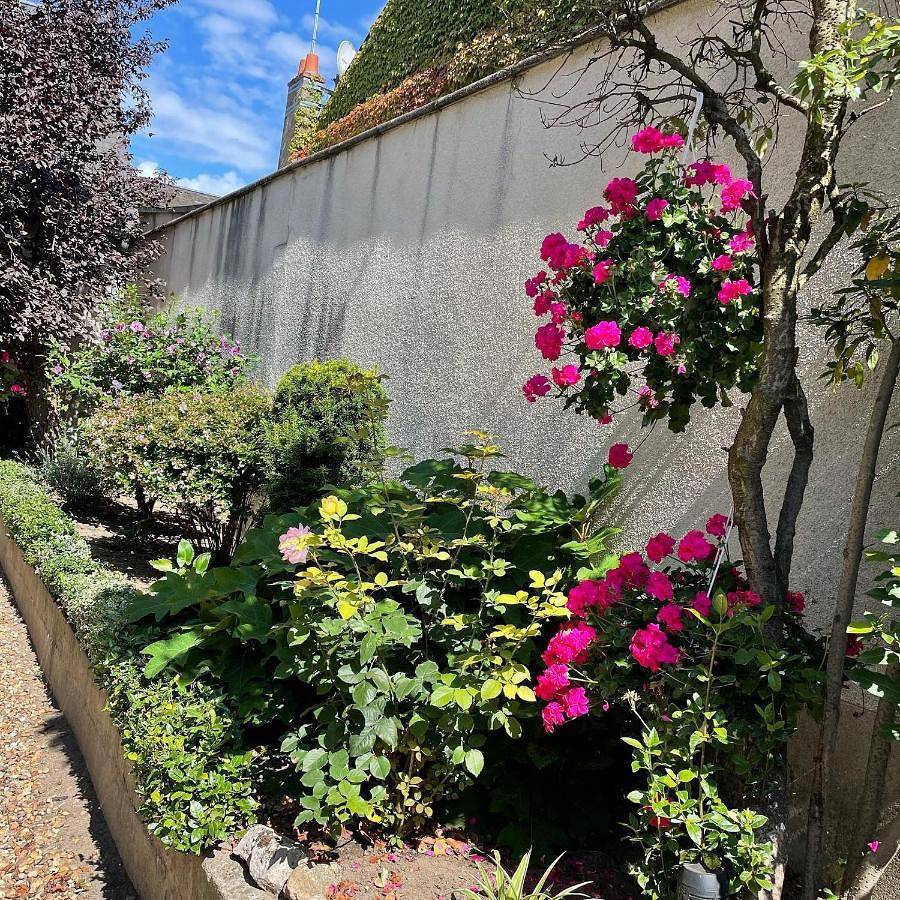 Double Room in Jargeau, Vallée de la Loire