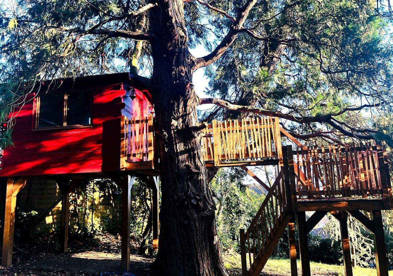 Maison de charme nichée dans le bois pour vivre une expérience unique in Saint-Rémy-lès-Chevreuse, Parc naturel régional de la Haute Vallée de Chevreuse
