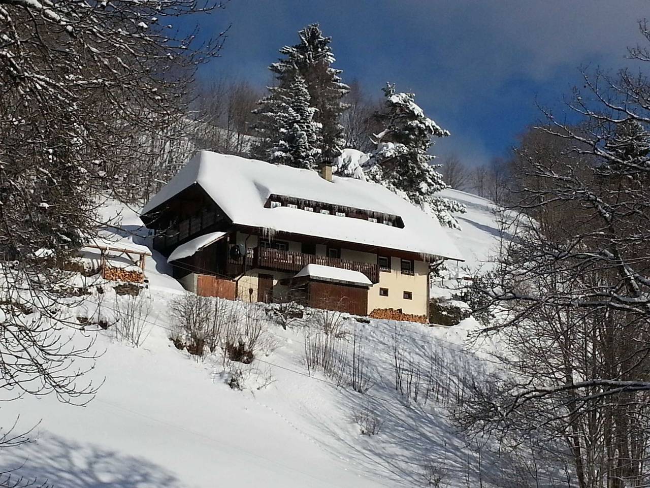 Ganze Ferienwohnung, Ferienhaus Rombach - Ferienwohnung A 42qm, 1 Schlafraum, 1 Wohn-/Schlafraum, max. 3 Personen , 1 - 3 Personen in Suedlicher Schwarzwald, Wieden
