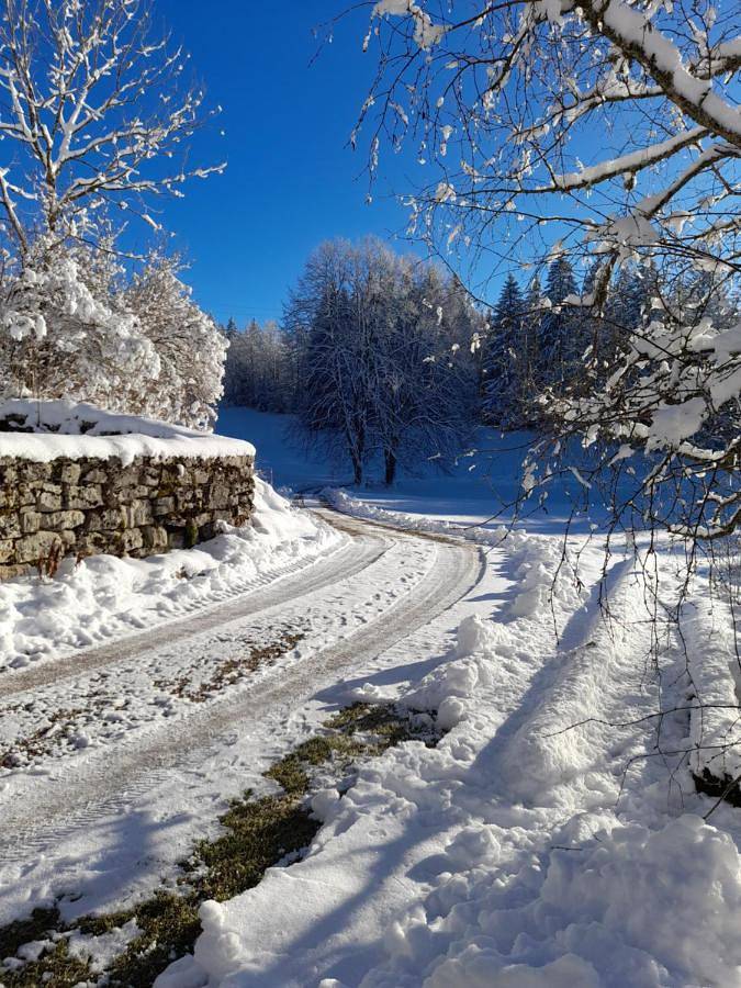 Chambre d’hôte pour 3 personnes, avec vue ainsi que jardin et terrasse dans Parc naturel régional du Haut-Jura - 4