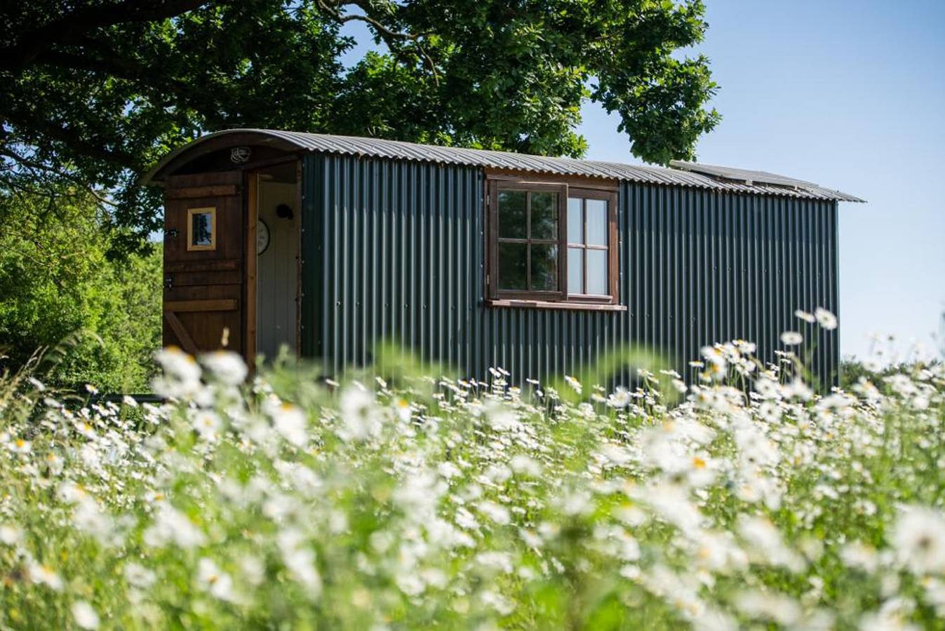Appartamento vacanze a Sussex a partire da 143€ a notte