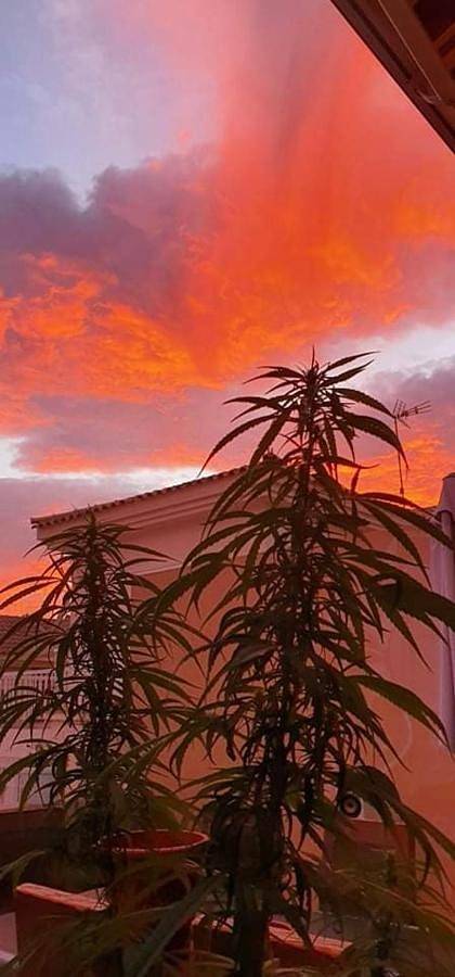 Maison d’hôte pour 2 personnes, avec piscine et terrasse à Maspalomas - 3