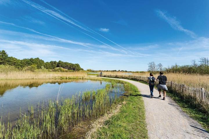 Location de vacances pour 5 personnes, avec vue ainsi que jardin et terrasse, animaux acceptés à Grand-Laviers - 2