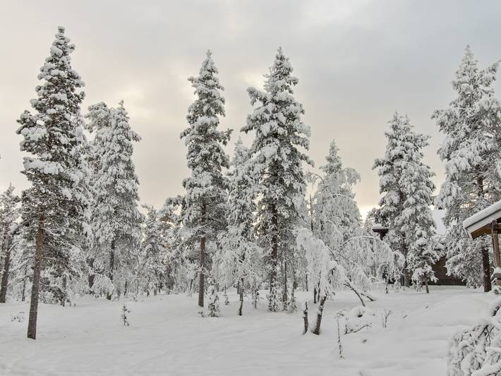 Ressipysäkki 1 in Lappland