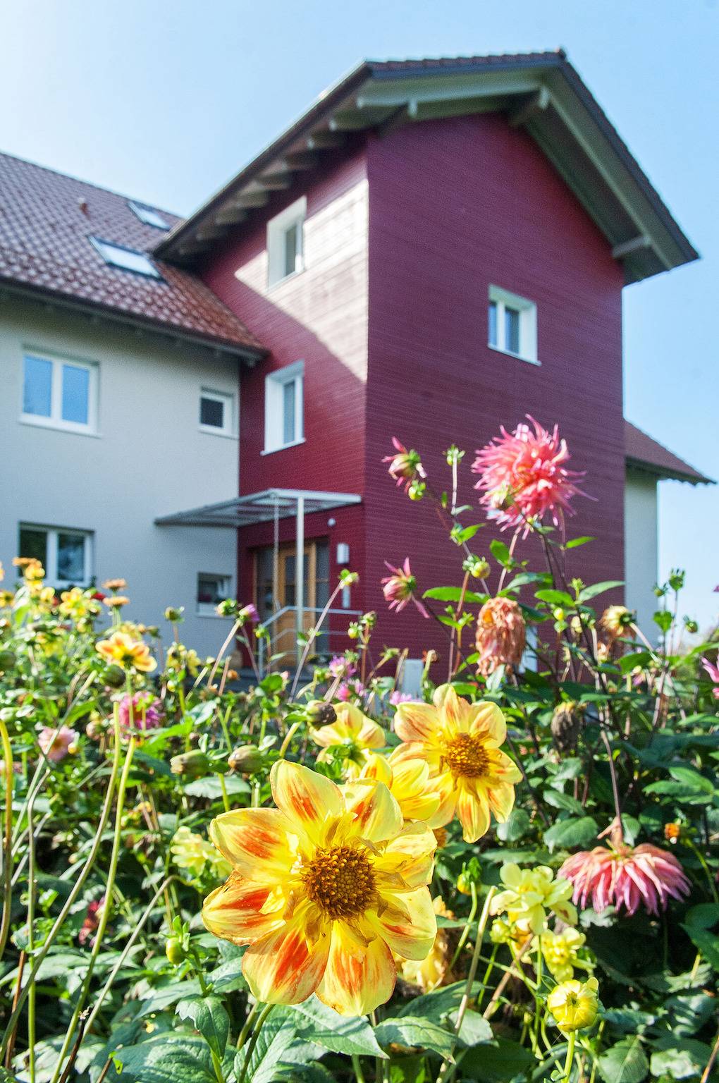 Ganze Ferienwohnung, Baumann´s Ferienhof am See - Apartment "Hohentwiel" Baumann´s Ferienhof am See 50 qm 1 Schlafzimmer max. 3 Personen in Wasserburg (Bodensee), Bayerisch Schwaben