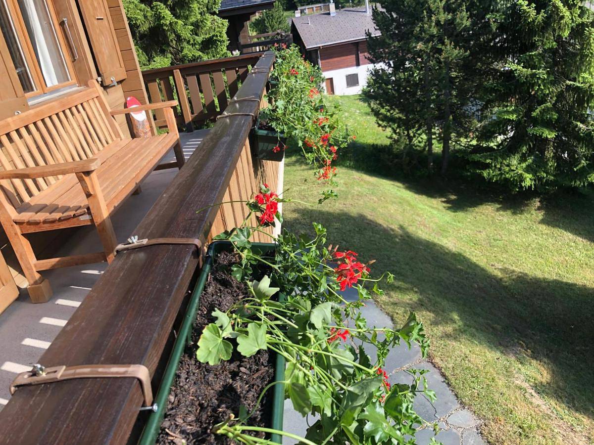 Chalet Claire in Bürchen, Walliser Alpen