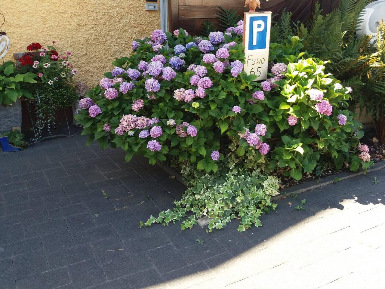 Ganze Ferienwohnung, Ferienwohnung Schmidt - Ferienwohnung mit schönem Garten in Neumagen-Dhron, Bernkastel-Kues & Umgebung