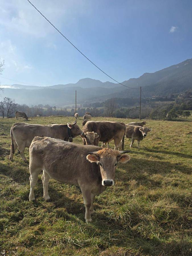 Casa rural para 13 personas, con jardín y piscina, Familias con niños en Berguedà - 3