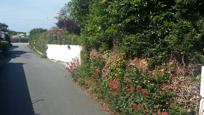 Villa pour 12 personnes, avec jardin et terrasse, animaux acceptés en France - 2