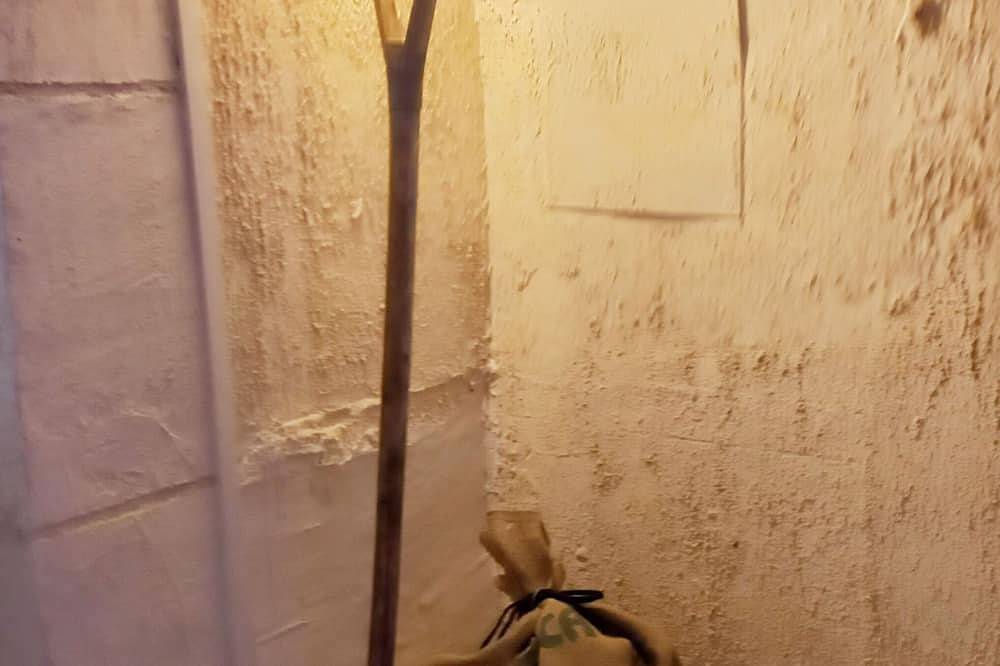 Charming semi-troglodytic gîte in Amboise, Tours region