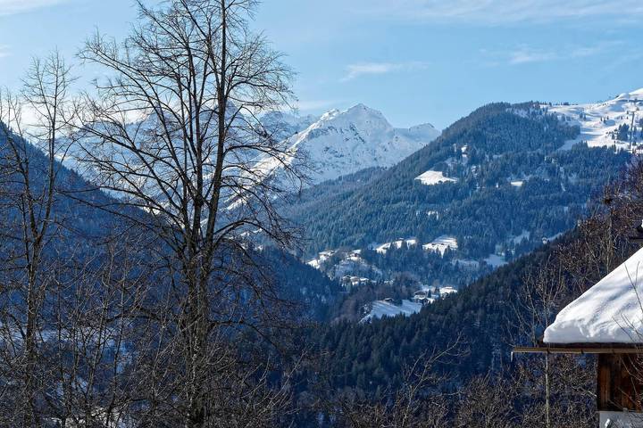 Ganze Ferienwohnung, Ferienhaus, Dusche, Wc, 3 Schlafräume in Schruns, Schruns-Tschagguns
