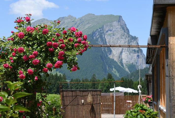 Gîte pour 4 personnes, avec balcon et vue, adapté aux familles à Schoppernau - 2