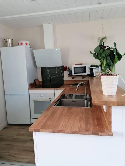 Location de vacances pour 6 personnes, avec jardin et vue, animaux acceptés à Asnelles - 3