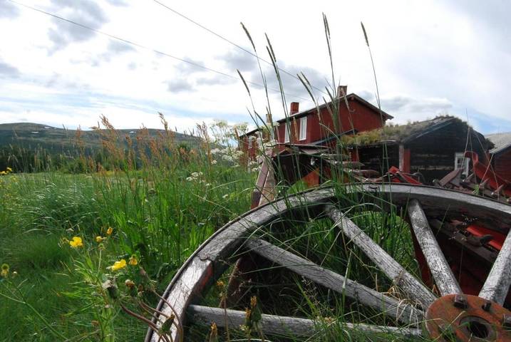 Gîte pour 4 personnes, avec jardin ainsi que sauna et vue dans Tolga