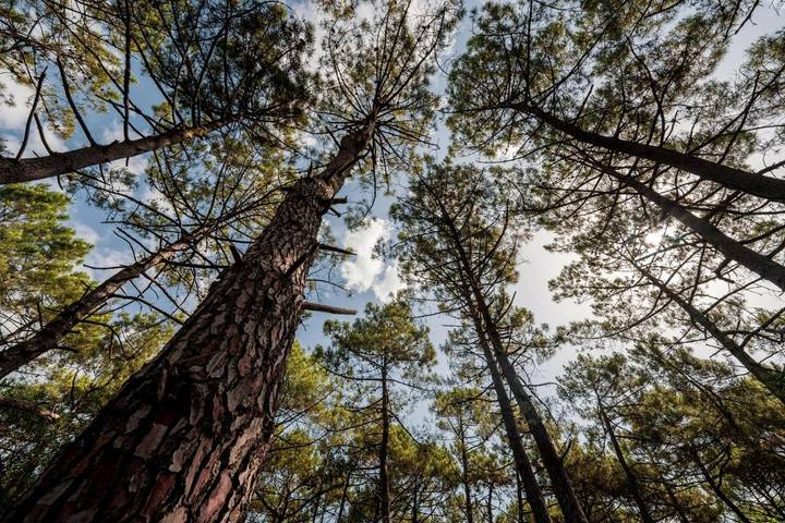 Location de vacances pour 8 personnes dans Claouey - 4