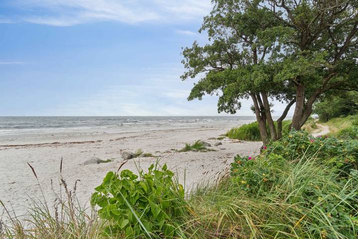 Ferienhaus für 5 Personen, mit Garten in Balka Strand - 3