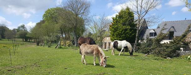 Location De Vacances pour 4 Personnes dans Plouha, Côte de Goëlo, Photo 1