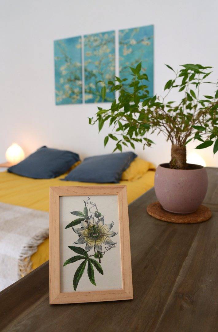 Le pied à terre du Botaniste in Plateau d'Hauteville, Belley