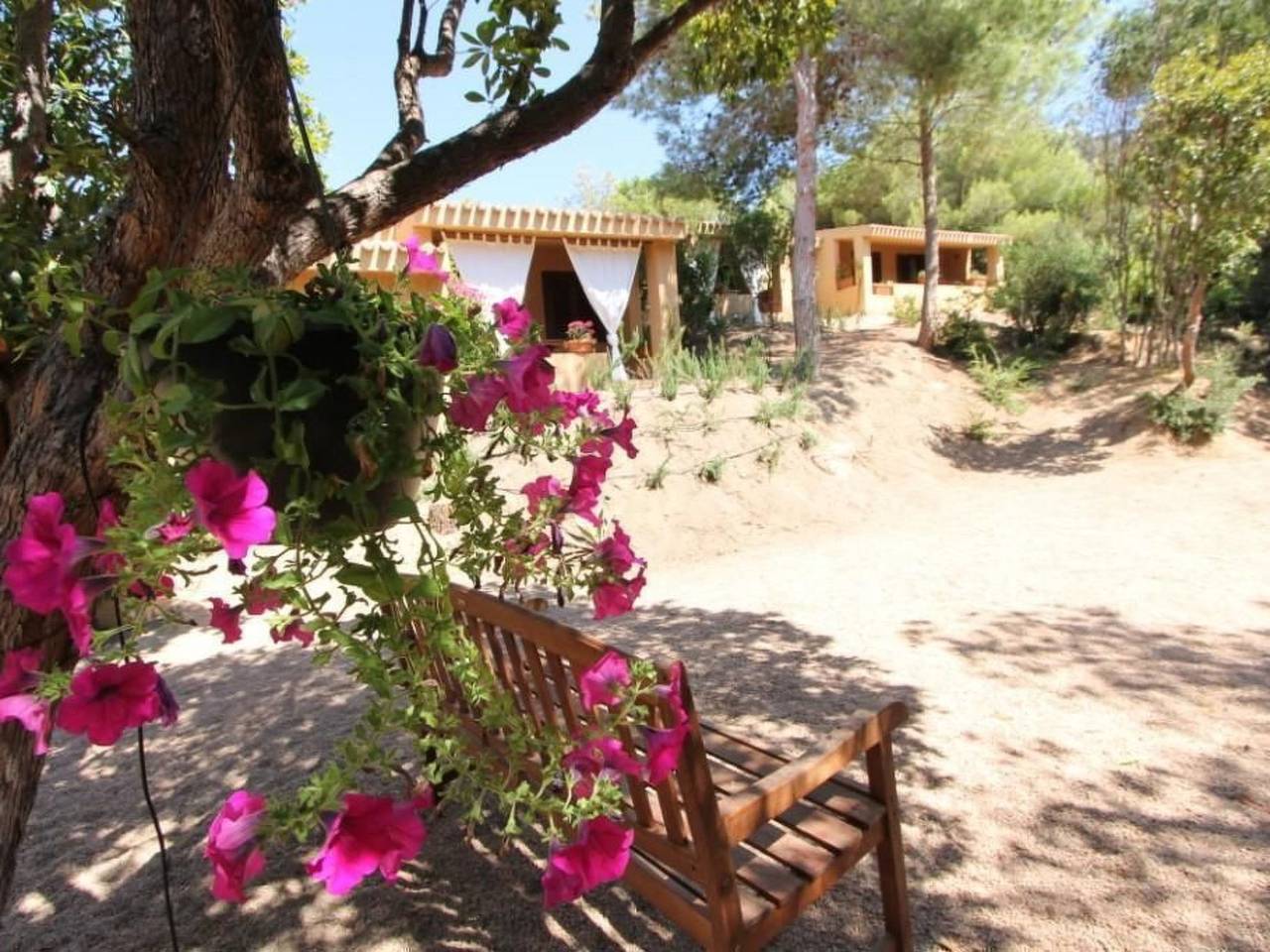 Appartamento vacanze a Gallura a partire da 57€ a notte