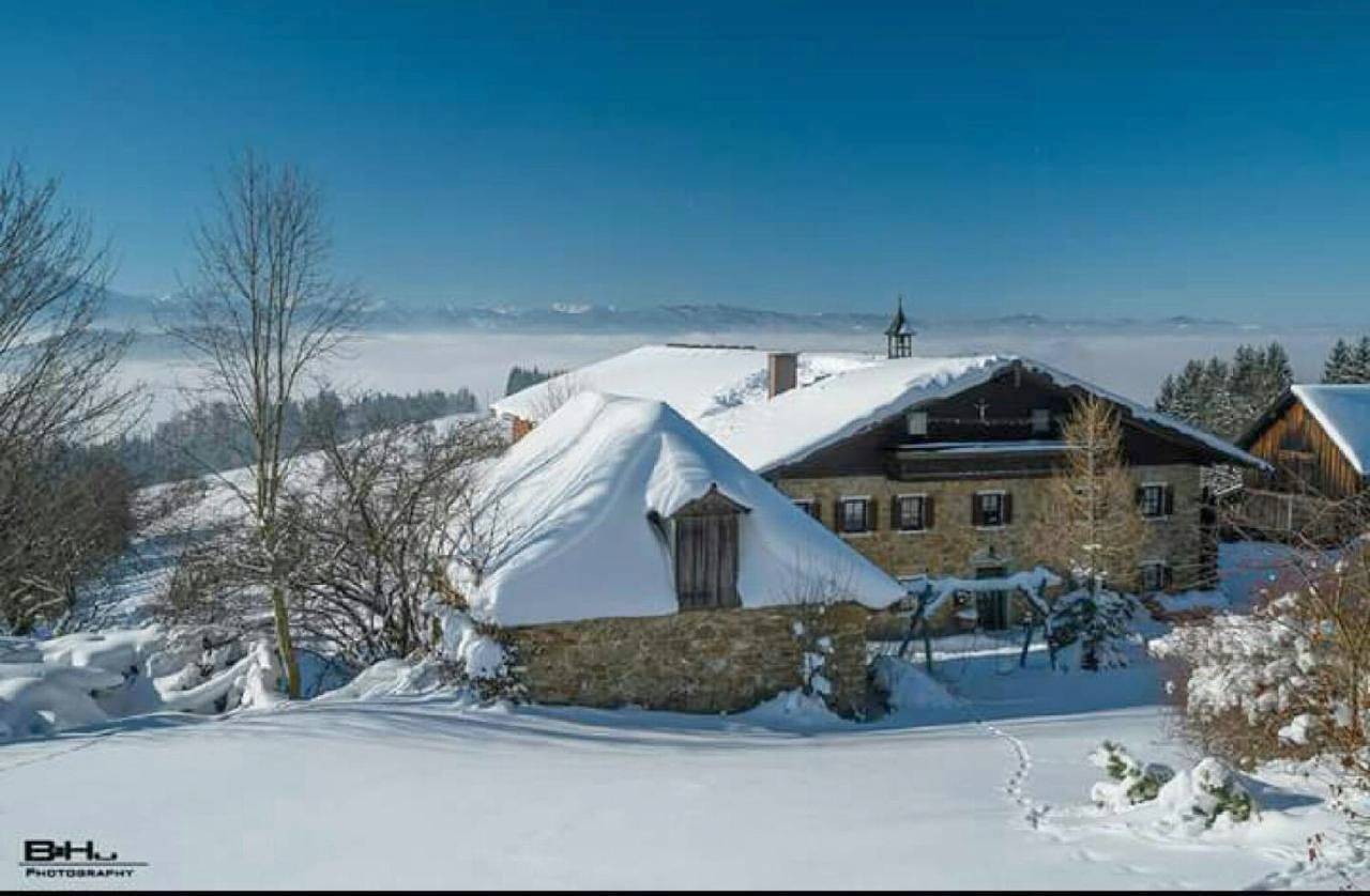 Budget Double or Twin Room in Weyregg am Attersee, Bezirk Vöcklabruck