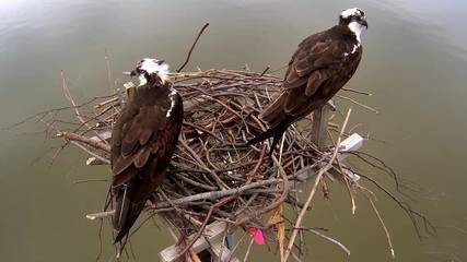 B&b per 3 Persone in Portland (Ontario), Ontario, Foto 3