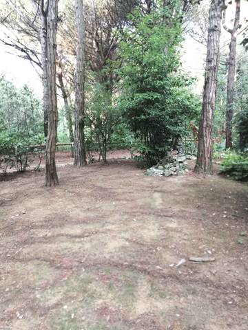 Bungalow für 5 Personen in Eraclea Mare, Venedig Provinz, Bild 3