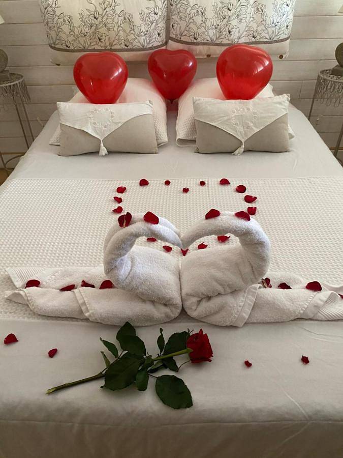 Gîte pour 2 personnes, avec jardin et piscine, animaux acceptés à Lunel-Viel - 3