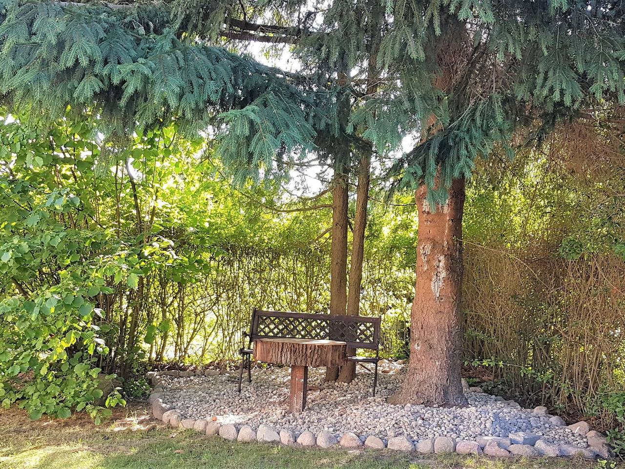 Mariena am Waldrand in Dargun, Mecklenburgische Seenplatte