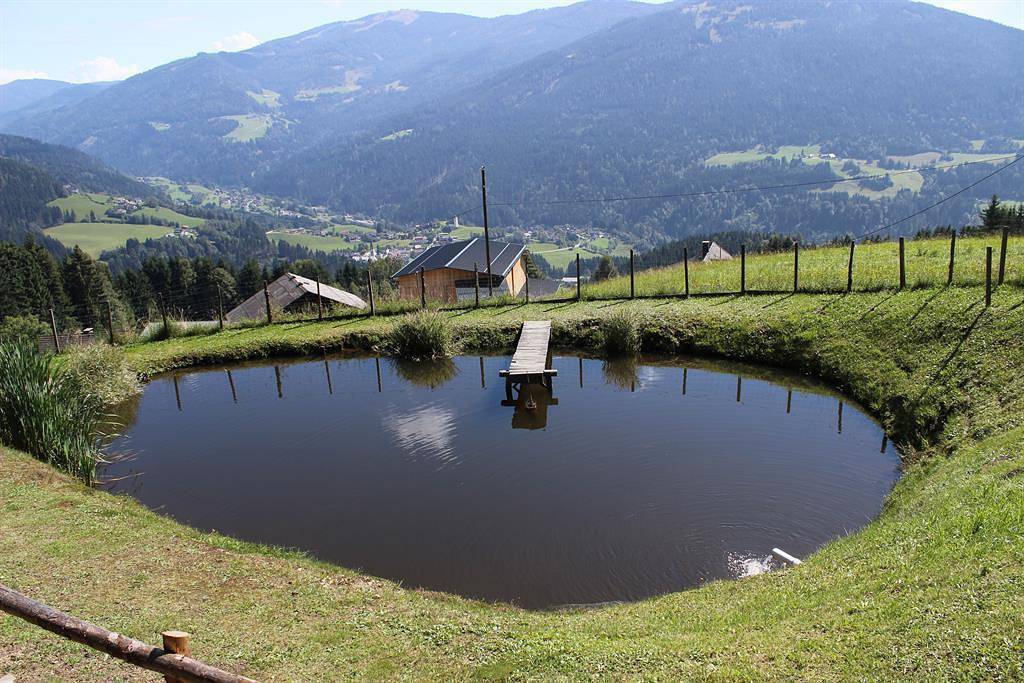 Ganze Ferienwohnung, Ferienwohnung Gerlitzenblick in Arriach, Villach-Land