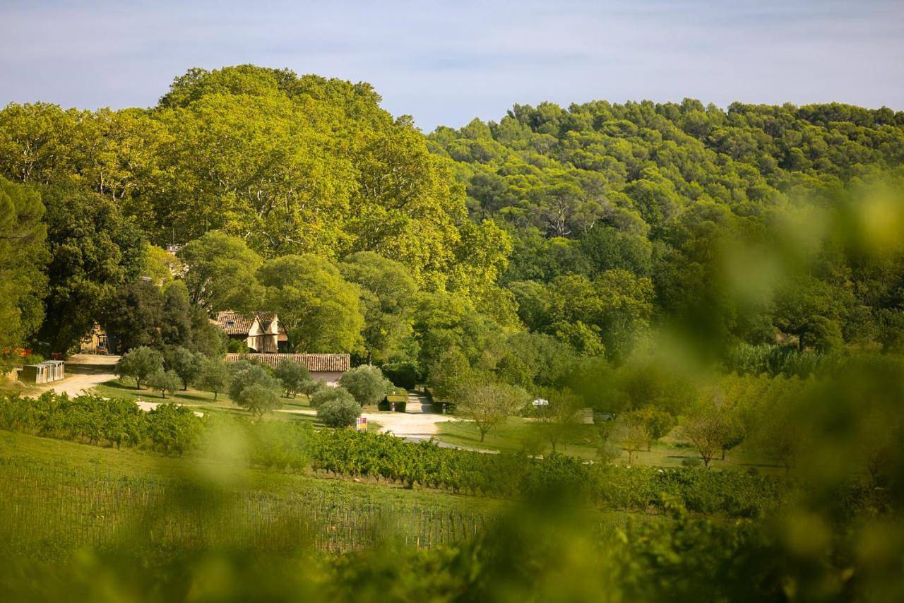 Château Mentone in Saint-Antonin-du-Var, Région de Brignoles