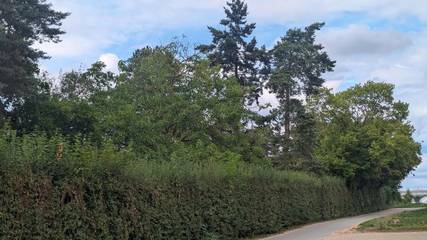 Vakantiewoning voor 6 Personen in Fürth, Middel-Franken, Afbeelding 3