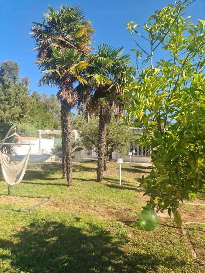 Ferienhaus für 5 Personen, mit Ausblick und Garten, mit Haustier - 1