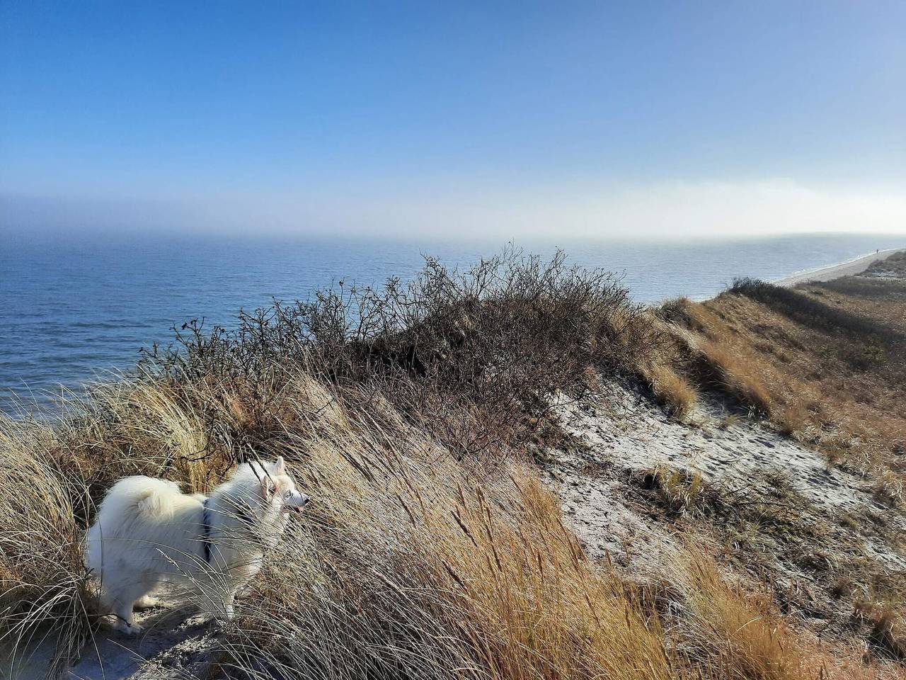 5-Personen-Ferienhaus in Sæby in Sæby, Nordostjütland
