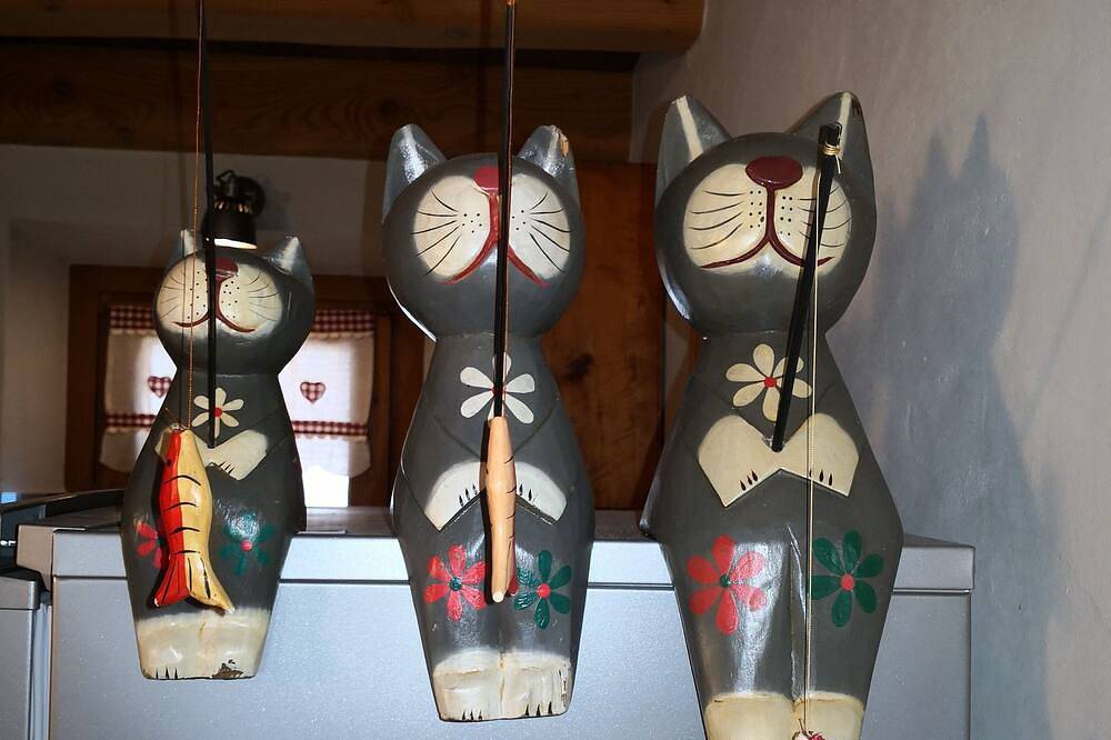 Entire apartment, La Maison Des Chats strategically located for visiting the entire Aosta Valley in Tholasèche, Comune di Nus