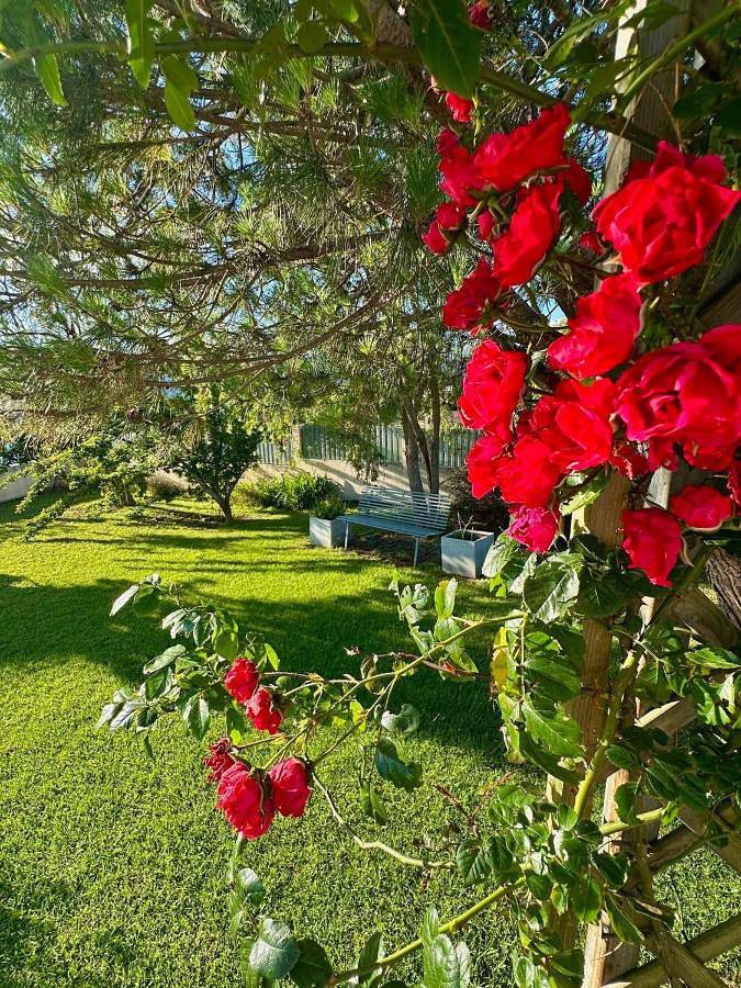 Location de vacances pour 9 personnes, avec jardin et vue, animaux acceptés à la Plaine des Cafres - 3