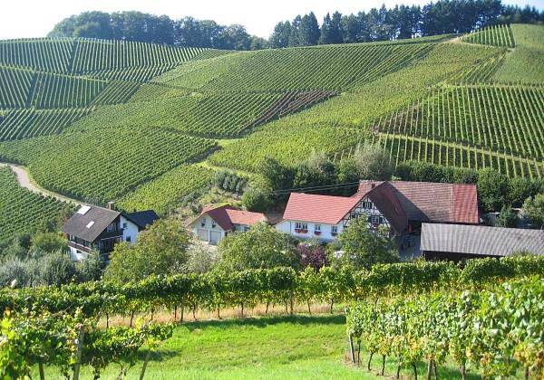 Gîte pour 4 personnes, avec terrasse et balcon/terrasse, animaux acceptés à Durbach