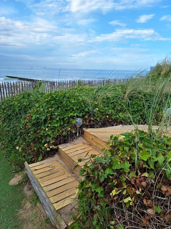 Gîte pour 2 personnes, avec vue et terrasse, animaux acceptés à Sangatte - 3