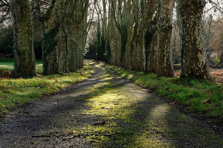Hôtel pour 3 personnes à Montferrand - 3